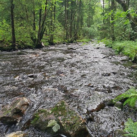 Stuga I Naturen Simlangsdalen Екстер'єр фото
