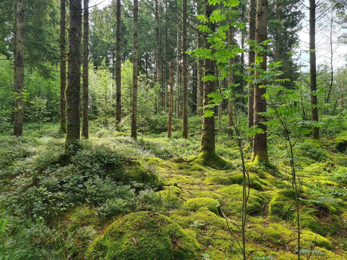 Stuga I Naturen Simlangsdalen Екстер'єр фото