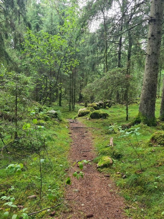 Stuga I Naturen Simlangsdalen Екстер'єр фото