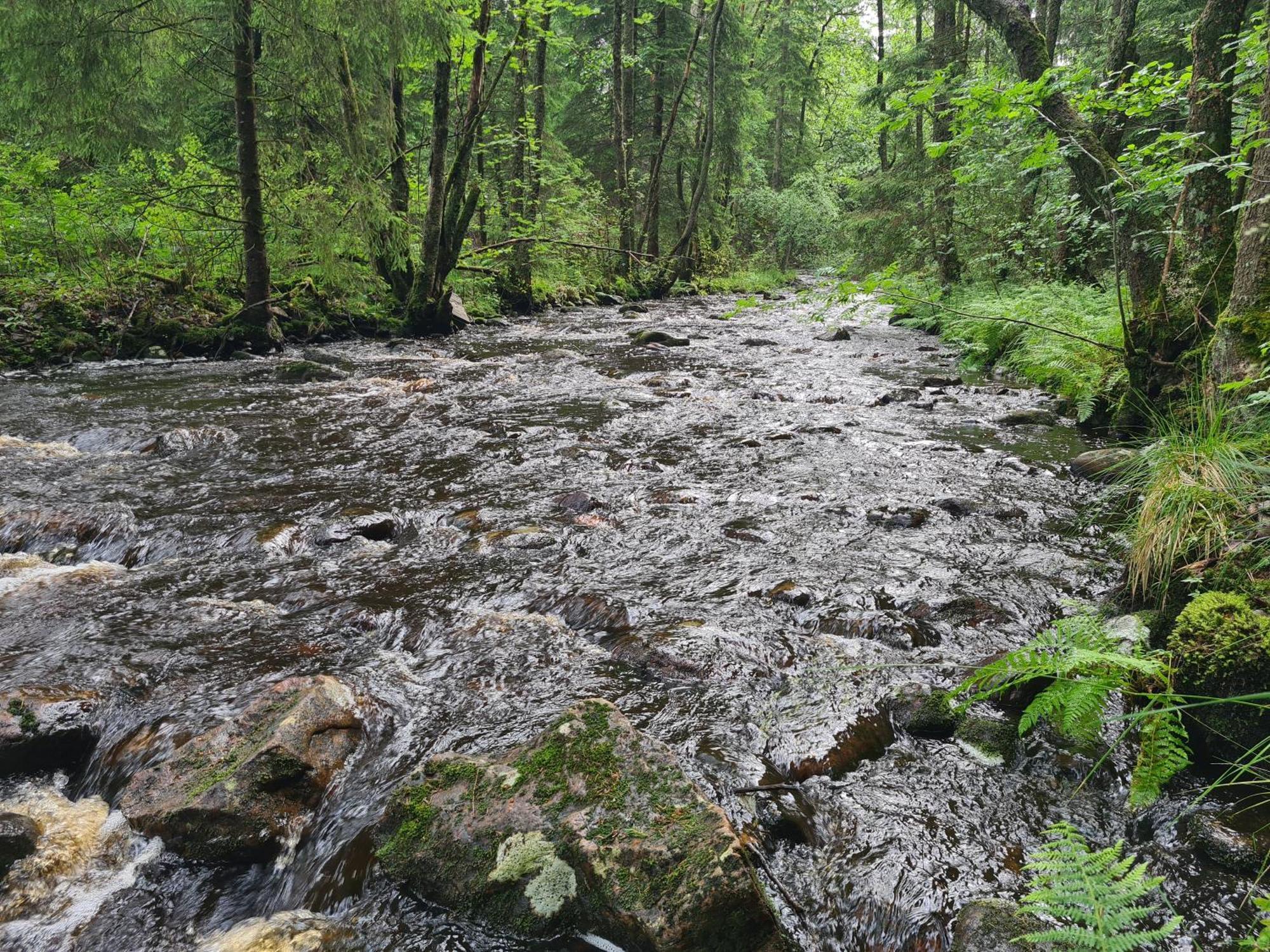 Stuga I Naturen Simlangsdalen Екстер'єр фото